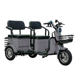 Massimo 12V MGC E-Trike Massimo 12V MGC E-Trike