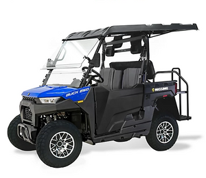 Massimo Buck 250X Side by Side UTV/ATV Massimo Buck 250X Side by Side UTV/ATV