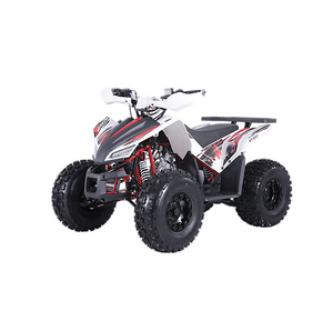 Coleman Powersports Youth 120cc Sport ATV Coleman Powersports Youth 120cc Sport ATV