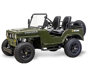 Massimo 300cc 2-Seater All-Terrain Go Kart Massimo 300cc 2-Seater All-Terrain Go Kart