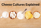 Cheese Cultures Explained: Everything You Need to Know