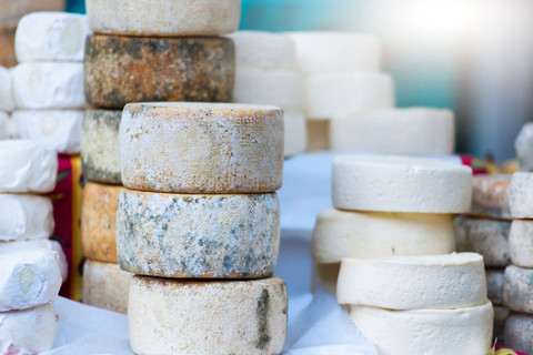 Using a Mesophilic Culture to Create Artisan Cheese at Home