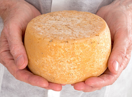 The Cheese Making Process