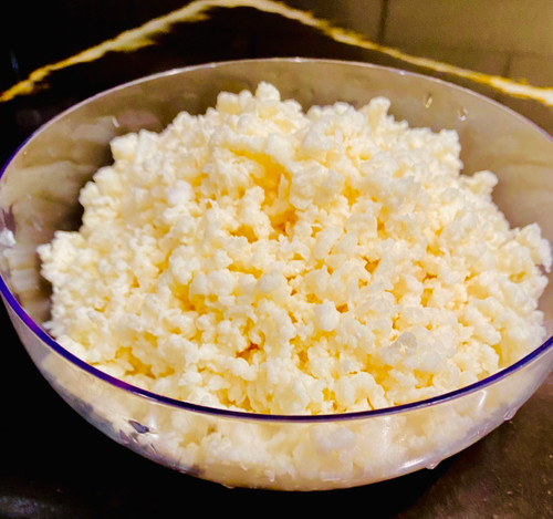 Bowl of Fresh Kefir Grains before packing 