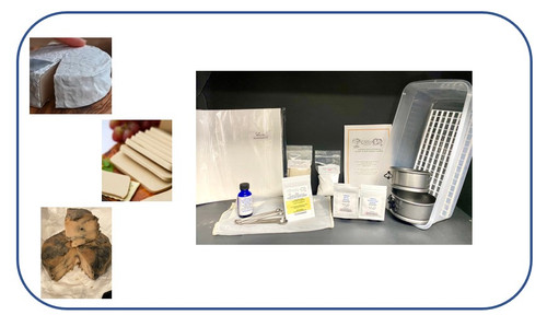 Plant Based  Aged Cheesemaking Kit