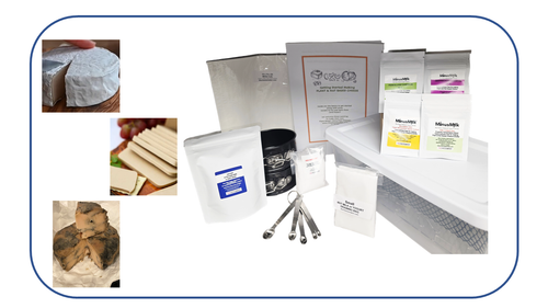 Vegan Plant Based  Aged Cheesemaking Kit ; make cultured / aged plant based cheese at home