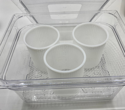 Large Deluxe Cheese Aging Container with Lid, Draining Platform and Mat- 
does not include cheese moulds which are shown for size reference