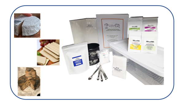 Vegan Plant Based  Aged Cheesemaking Kit ; make cultured / aged plant based cheese at home