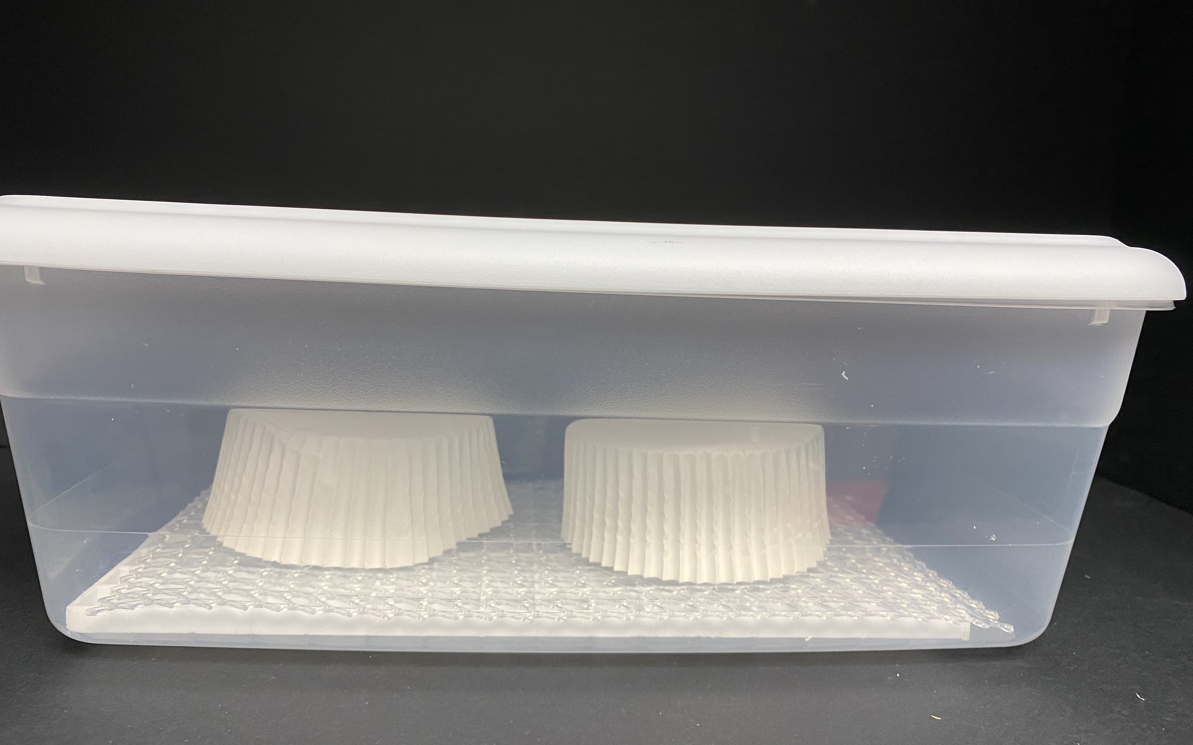 Small Cheese Aging Containers-Includes Draining Platform & Mat