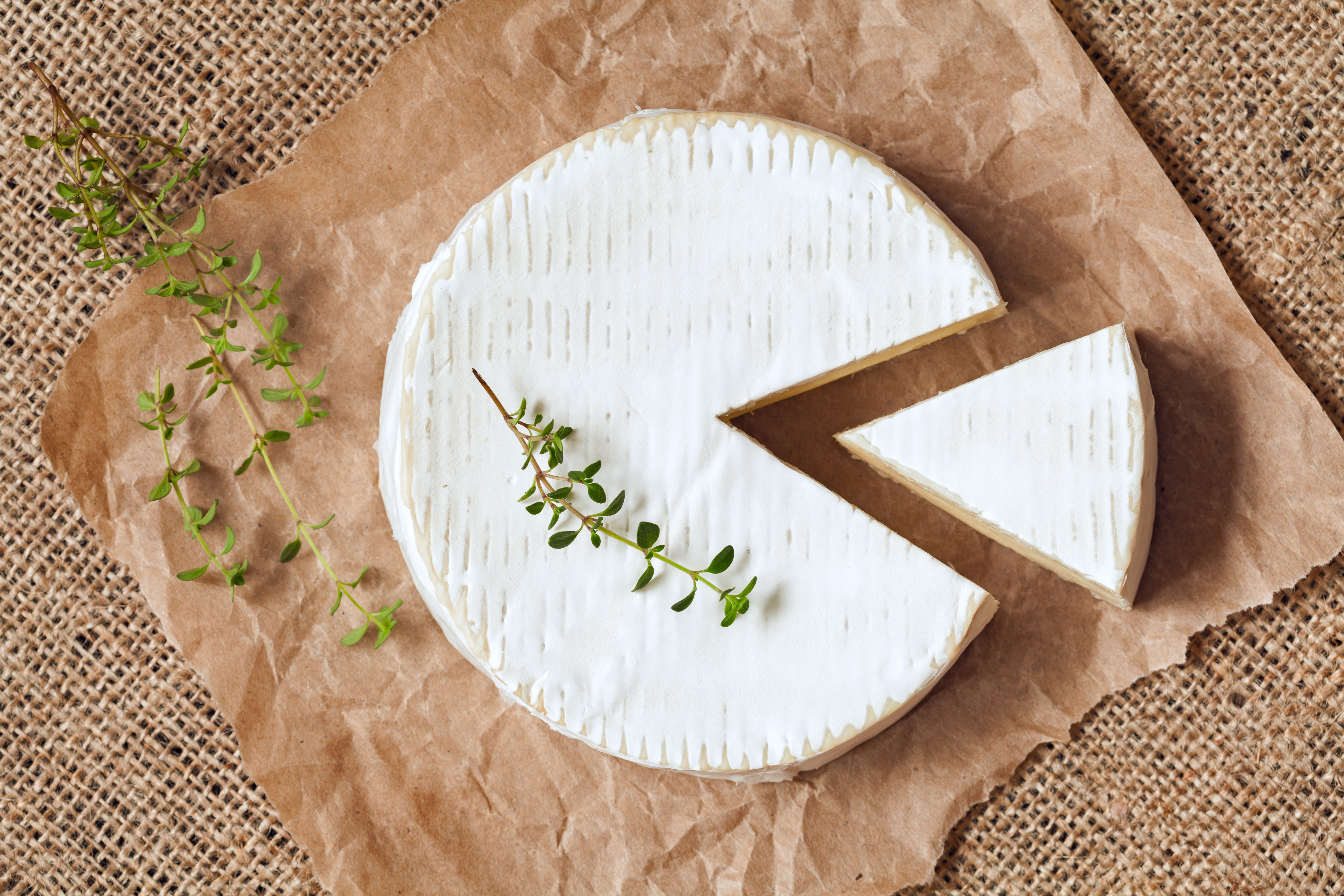 An Introduction to Making Soft Cheese at Home - TheCheeseMaker.com
