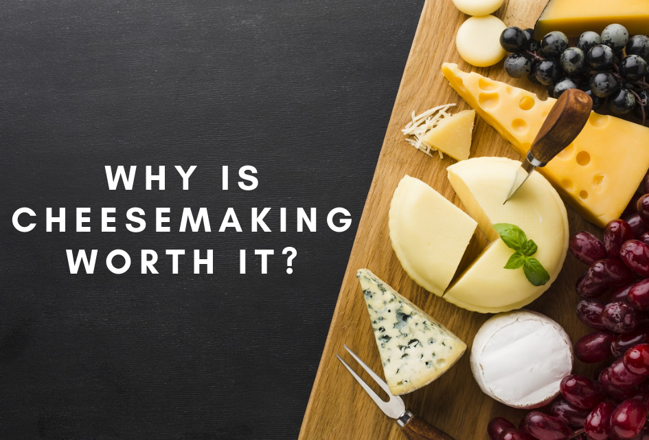 5 Simple Reasons Why Cheese Making Is Worth It Thecheesemaker Com