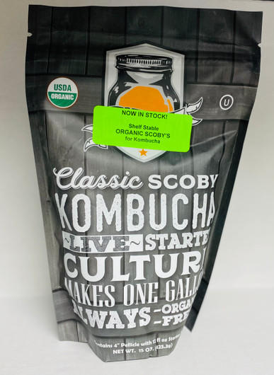 All About Scobies, The Mothers of Kombucha — Pomme Natural Market