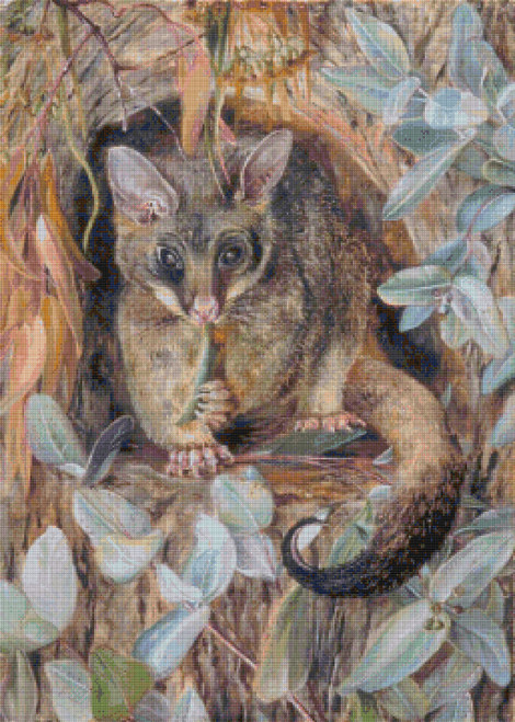 Possum up a Gum Tree Cross Stitch Pattern – Marianne North Possum up a Gum Tree Cross Stitch Pattern – Marianne North
