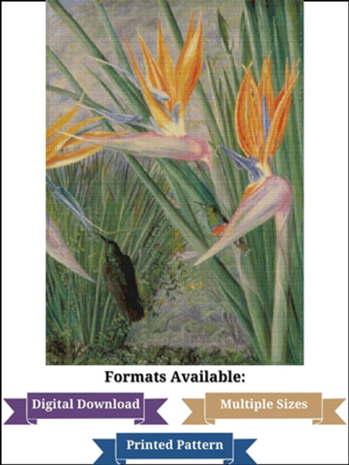 Strelitzia and Sugar Birds, South Africa Cross Stitch Pattern – Marianne North