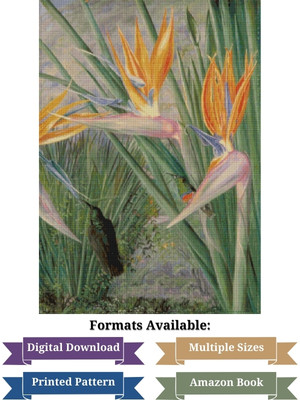 Wild Flowers of Ceres, South Africa Cross Stitch Pattern