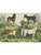 Donkey, Zebra, Horse - Cross Stitch Chart