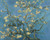 Branches with Almond Blossom Cross Stitch Pattern - Vincent van Gogh