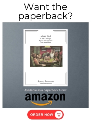 A Bold Bluff Cross Stitch Pattern - C.M. Coolidge - Amazon Book