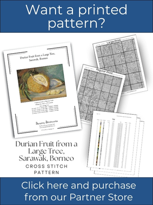 Durian Fruit from a Large Tree, Sarawak, Borneo Cross Stitch Pattern &ndash; Marianne North
