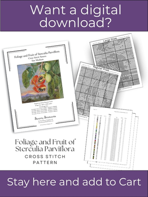 Foliage and Fruit of Sterculia Parviflora Cross Stitch Pattern – Marianne North