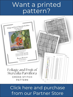 Foliage and Fruit of Sterculia Parviflora Cross Stitch Pattern – Marianne North