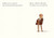Le destin de Fausto - Une fable en images - Oliver Jeffers Le destin de Fausto - Une fable en images - Oliver Jeffers