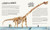 L'incroyable histoire des origines de la vie L'incroyable histoire des origines de la vie
