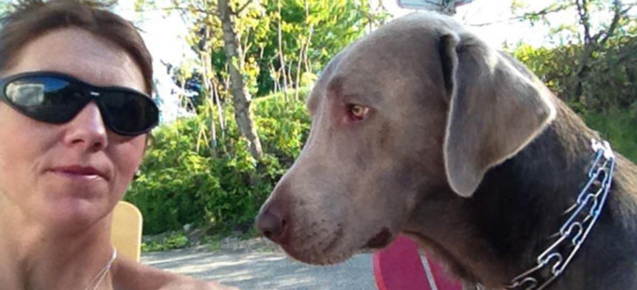 Paw Prints On Our Heart