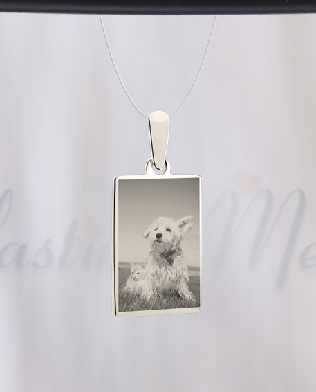 Rectangle Photo Engraved Stainless Pet Guardian