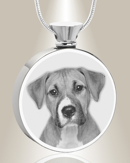 Round Stainless Steel Photo Engraved Pet Ash Pendant
