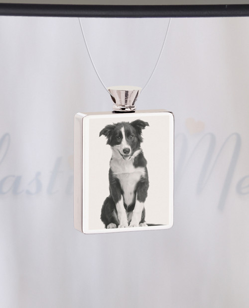 Rectangle Stainless Steel  Photo Engraved Pet Ash Guardian