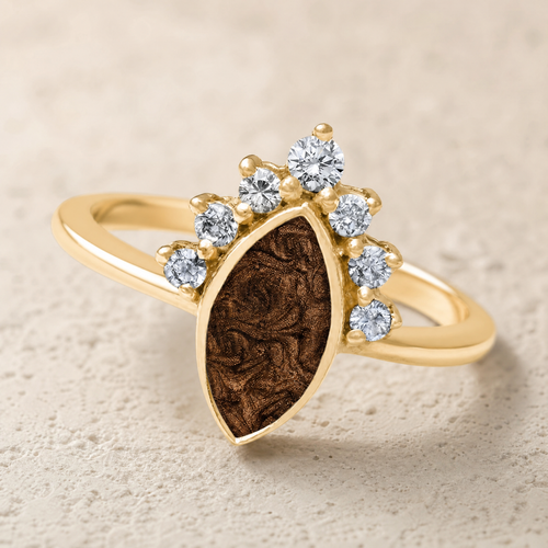 Solid 14K Gold Women's Lakeway Ash Ring with Carob