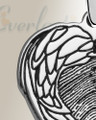 Angel Wings Sterling Fingerprint Necklace