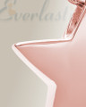 14K Rose Gold Small Sliding Star Cremation Urn Keepsake