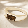 Solid 14K Gold Men's Desoto Ash Ring with Carob