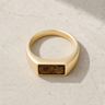 Solid 14K Gold Men's Desoto Ash Ring with Carob