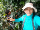Peru Cajamarca Amacof Co-op