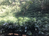 Guatemala Chaak Impact Beyond