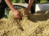 Guatemala Chaak Impact Beyond
