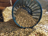 Guatemala Chaak Impact Beyond