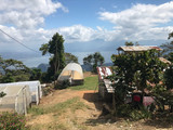 This Honduras coffee is grown at high elevation and fully traceable.