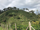 Shop single origin coffee from Honduras and taste the beauty of Santa Bárbara.
