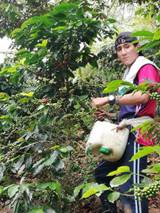 Dark Roast Peru Cajamarca Amacof Co-op