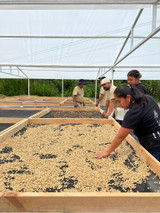 Dark Roast Mexico Chiapas Honey