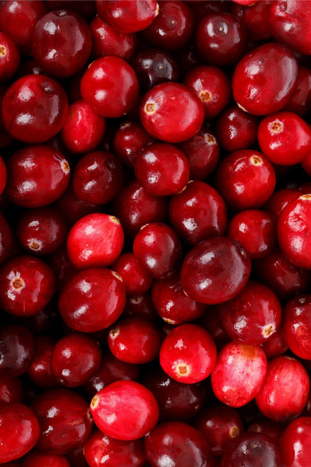 Fresh Maine Cranberries, 10 pounds