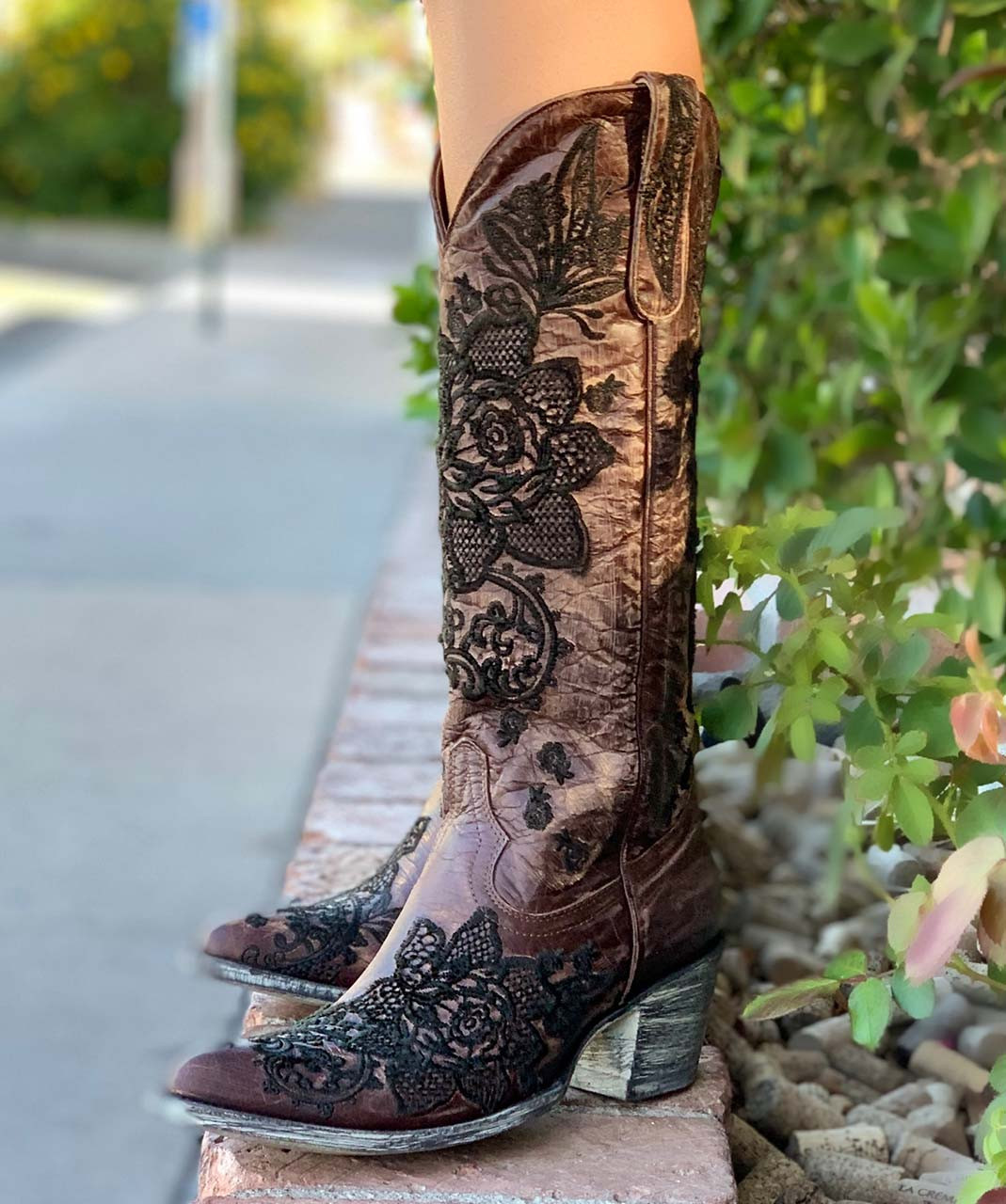 old gringo nicolette