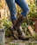 This is a **bold, highly embellished Western statement boot** that blends rugged cowgirl attitude with intricate Southwestern artistry. The rich **espresso-brown leather** is beautifully contrasted by **metallic brass and antique-gold accents**, creating a warm, aged, almost heirloom-inspired finish.

The shaft is covered in **ornate appliqué detailing, dimensional crosses, floral motifs, silver-toned studs, conchos, and hand-stitched embroidery**, giving the boot an incredible amount of texture and depth. The dramatic metallic brass overlays at the upper shaft and around the foot add a distinctive vintage-meets-rebel character.

One of the most eye-catching details is the **leather lace-up corset-style back**, which runs the length of the shaft and adds both visual interest and an adjustable element to the fit. The decorative side panels and embellished pull tabs continue the elaborate detailing from top to bottom.

The **snip toe and 1¾-inch western heel** give the boot a classic, flattering silhouette, while the combination of chocolate leather and metallic brass makes it surprisingly versatile—it would look incredible with denim, dresses, skirts, or layered boho pieces.

### Product description

**Double D Ranch Ammunition Boots – Metallic Brass & Espresso**

A true collector-worthy statement boot, the **Double D Ranch Ammunition** is where Western artistry meets rebellious cowgirl style. Rich espresso-brown leather is layered with shimmering metallic brass accents, intricate embroidery, dimensional crosses, ornate appliqués, antique-inspired studs, and dramatic Southwestern detailing.

The standout **corset-style leather lacing along the back of the shaft** adds an unexpected touch of attitude while complementing the boot’s beautifully embellished silhouette. Every inch is designed to make an impression, from the elaborate shaft detailing to the intricately decorated foot and classic snip toe.

These are not everyday Western boots—they're **wearable works of art** made for the woman who loves her boots to have personality, presence, and a little bit of rebellion. ?✨?

**Details:**

* **Shaft Height:** 16"
* **Shaft Opening:** 14"
* **Heel Height:** 1¾"
* **Toe:** Snip
* **Width:** Standard
* **Color:** Metallic Brass & Espresso Brown
* **Back:** Corset-style leather lacing
* **Style:** Western / Boho / Statement Boot

