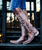 Boots are made for walking AND looking amazing and the Old Gringo Mayra Boots are SO on trend. These aren't just cowgirl boots, these are fabulous fashion boots. Handcrafted in Leon, Mexico with gorgeous distressed Baby Vesuvio Brass leather and accented with a blue finish and baby blue turquoise embroidery.

We love the tall, 18" silhouette and traditional snip toe of the Mayra Boots. 

Rock this boot all year around... we know you will look AMAZING and turning heads in these Boot Junky exclusive  Old Gringo Mayra Boots!

* Shaft Height - 18"
* Shaft Opening - 14.5" circum.
* Heel Height - 1 & 3/4" (9964)
* Toe - 4L SNIP
* Standard Width