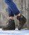 Our Vision moccasin-style boot features a plain over-the-knee bootleg, 2 3/4" hidden wedge, a cool ankle strap and the typical thick handmade stitching on the instep, distinctive feature of El Vaquero brand. Its simplicity gives the Vision boot a timeless elegance. Finished with the renowned Silverstone wash, a milestone of El Vaquero brand, that enhances every shade of leather, showcasing the most intense colors and making each boot unique in its kind.

Hidden wedge 2 3/4"
Vintage Treatment
100% Calf suede
Handmade Stitching
Hand-inserted details
Metal details 100% nickel-free
Rubber sole
Made in Italy