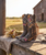 ### Old Gringo Keene Beige – YL469-1

**A little vintage romance, a little western attitude, and a whole lot of Old Gringo artistry.** ?✨

Meet **Keene by Old Gringo**, a collector-worthy design originally introduced in Old Gringo’s Fall 2021 collection. Crafted from beautifully distressed cowhide leather, Keene pairs an earthy, timeworn finish with an unexpected mix of intricate embroidery and bold geometric detailing for a look that feels as special today as when she was first introduced.

The shaft immediately steals the show with its striking **black and beige geometric embroidery**, creating an almost textile-inspired effect against the leather. Feminine embroidered roses in shades of pink and red soften the design, while scrolling golden embroidery winds its way across the shaft, vamp and dramatically pointed toe. The contrast is gorgeous—**rugged, romantic and unmistakably Old Gringo.**

And then there is that silhouette. The elongated **4Long toe** gives Keene an elegant, slightly dramatic profile, while Old Gringo's **9964 heel** and 12-inch shaft keep her rooted in classic western style. Every bit of distressing, embroidery and variation in the leather contributes to the character of the boot—no two pairs will look exactly alike.

This is the kind of Old Gringo boot we love at Boot Junky: **wearable art with a story to tell.** Pair Keene with denim and a simple tee and let the boots do all the talking, or wear her with dresses, skirts and layers for an eclectic bohemian-western look.

For the Old Gringo collector who loves finding those unforgettable designs from years past, **Keene is one worth adding to the collection.** ??

**Details:**

* **Style:** Keene
* **Model:** YL469-1
* **Color:** Beige
* **Leather:** Cowhide
* **Shaft Height:** 12"
* **Toe:** 4Long
* **Heel:** 9964
* **Handcrafted by Old Gringo**

**Old Gringo boots aren't simply made—they're brought to life by skilled artisans through hundreds of individual steps. Keene beautifully captures that tradition with richly distressed leather, elaborate embroidery and the wonderfully unexpected details that have made Old Gringo boots collectible works of wearable art.**

